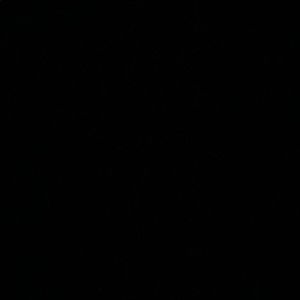 Meet your Posher, Brendan